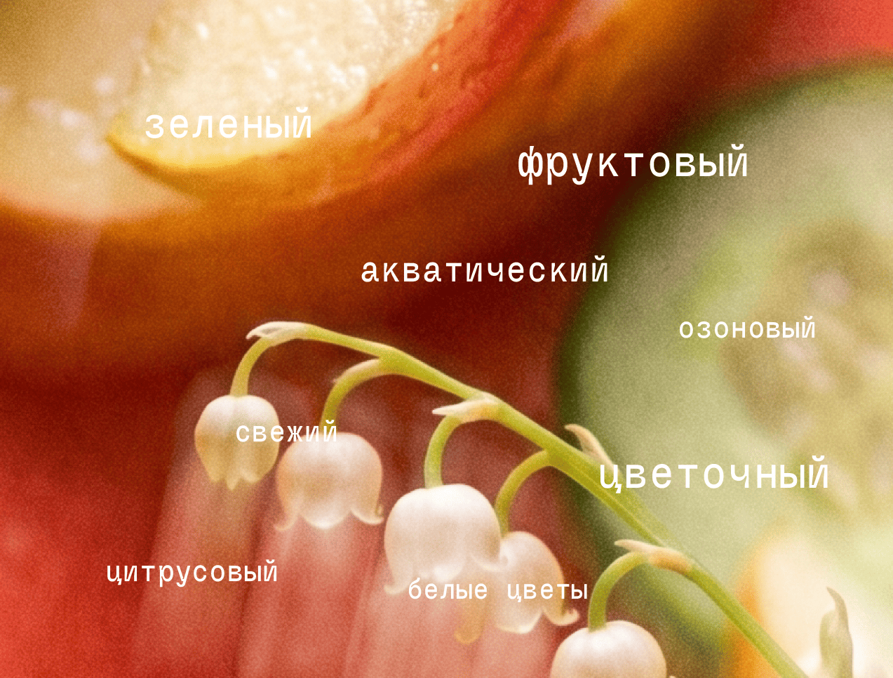 G209 по мотивам DKNY be Delicious